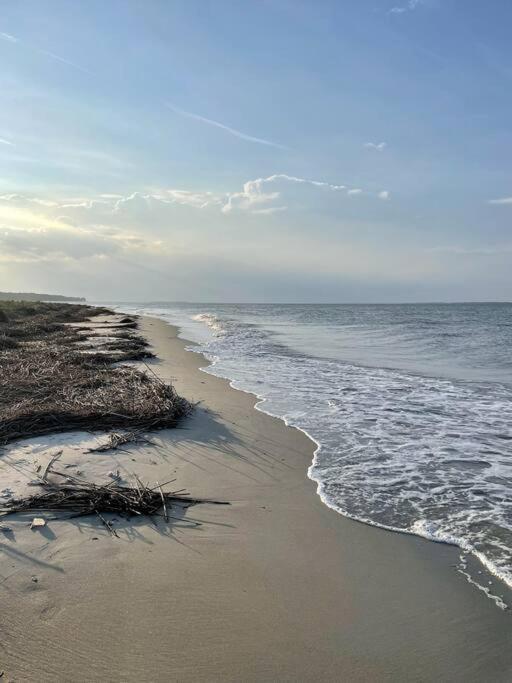 Classy & Comfortable Condo! Hilton Head Island Esterno foto